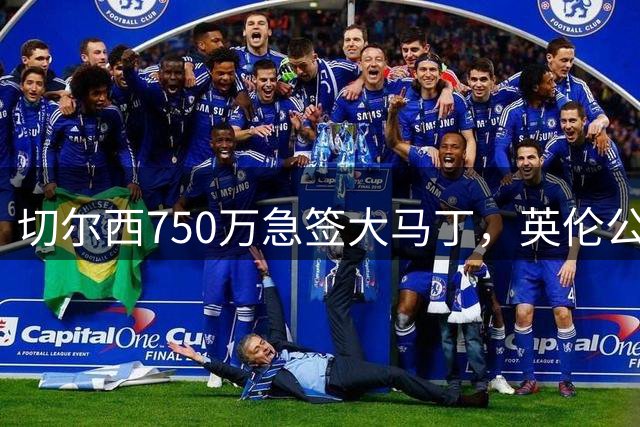 切尔西750万急签大马丁，英伦公敌补全8年门前短板