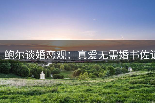 鲍尔谈婚恋观：真爱无需婚书佐证 但必签婚前协议